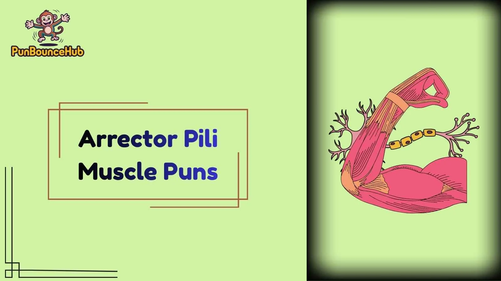 Arrector Pili Muscle Puns