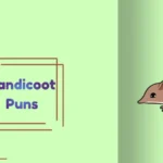 Bandicoot Puns