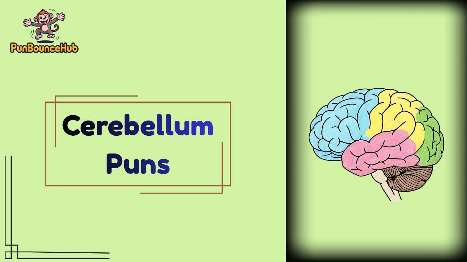 Cerebellum Puns
