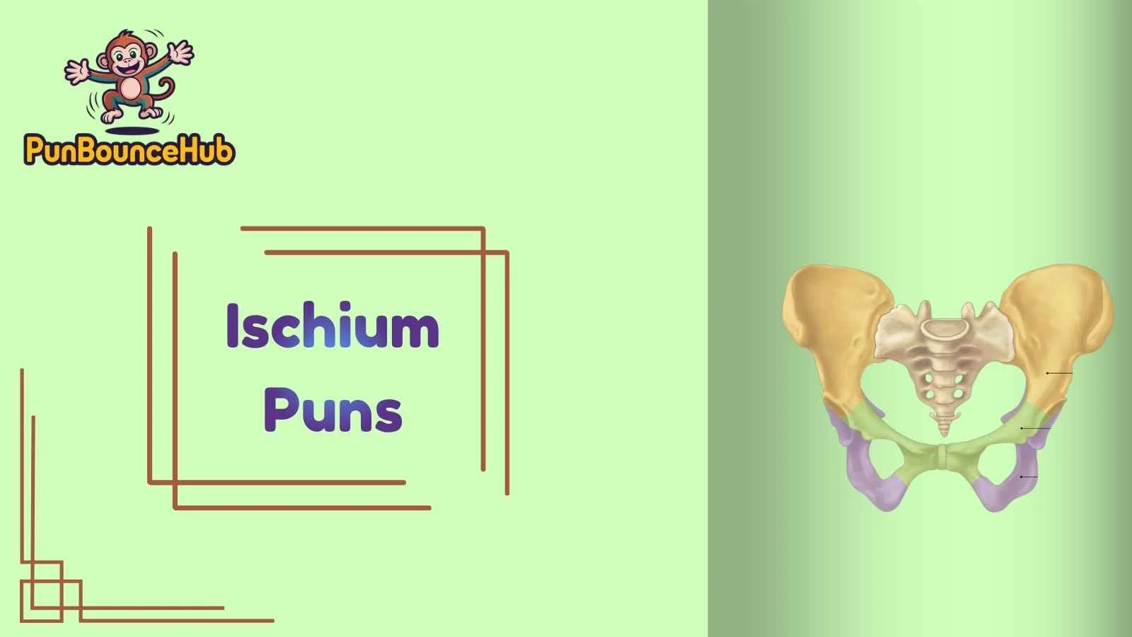 Ischium Puns