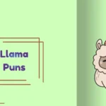 Llama Puns