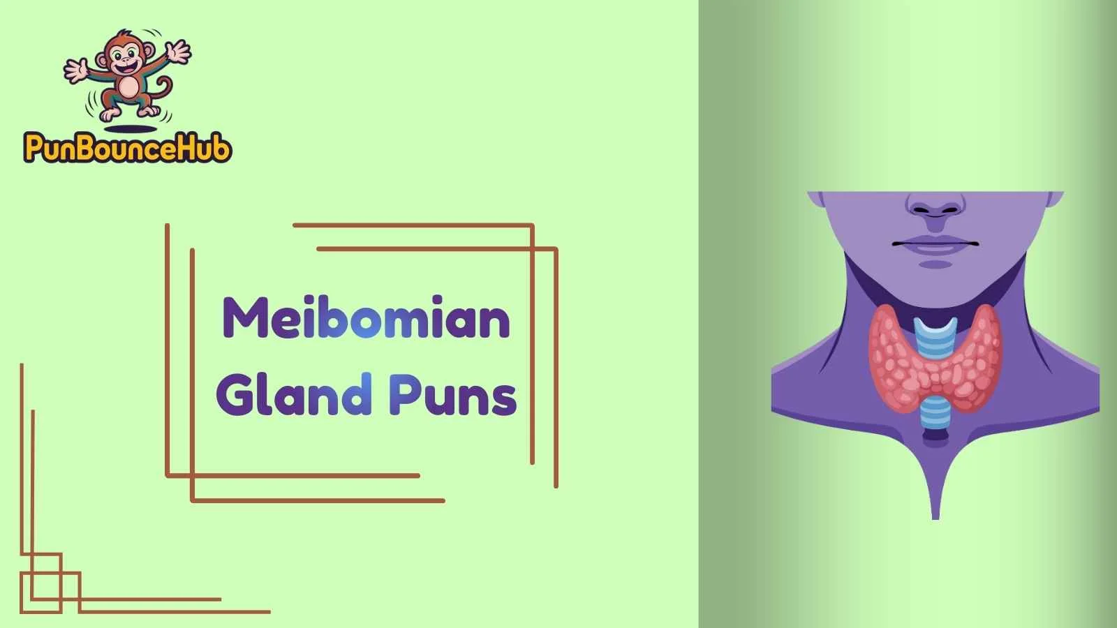 Meibomian Gland Puns