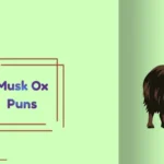 Musk Ox Puns
