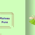 Plateau Puns