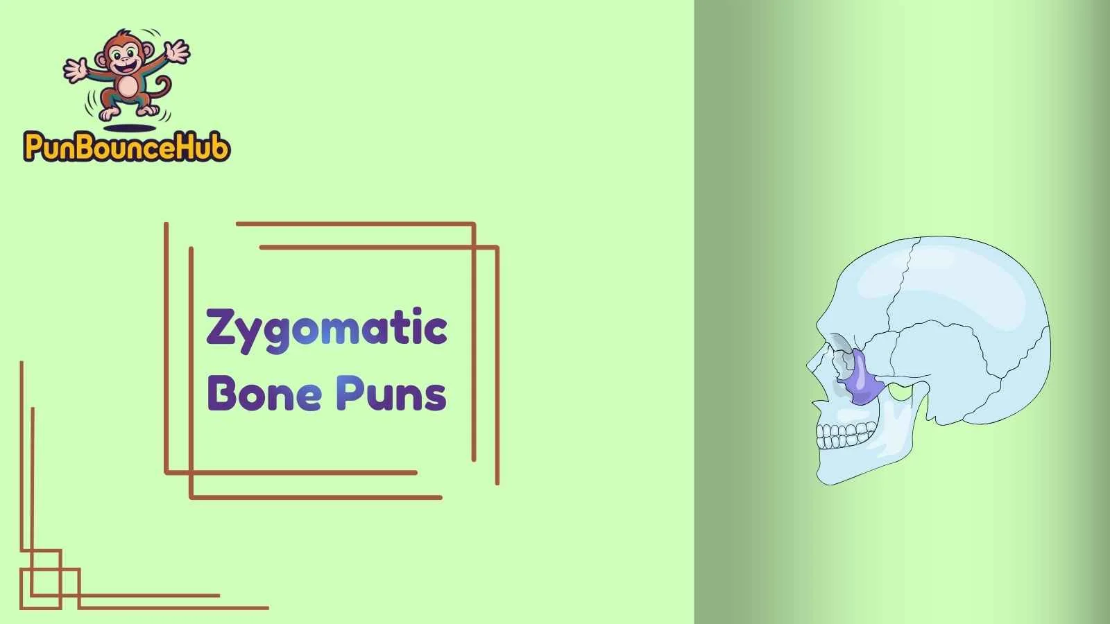 Zygomatic Bone Puns