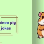 guinea pig jokes