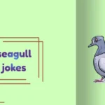 seagull jokes