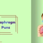 Diaphragm Puns