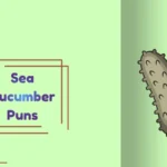 Sea Cucumber Puns
